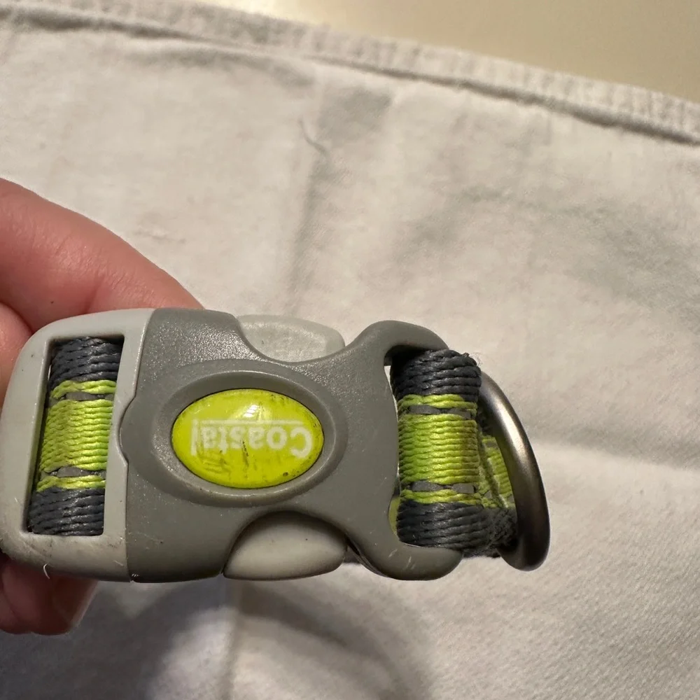 Coastal Dog Collar Small Bright Yellow Green